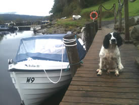A black and white Springer Spaniel beside a boat on water