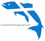 logo for the scottish salmon fishing surgery: it is a fish with a scottish flag pattern